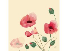 Ubrousek 40x40 Dsoft Poppy Charm 60ks