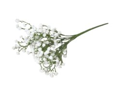 Gypsophila /nevěstin závoj