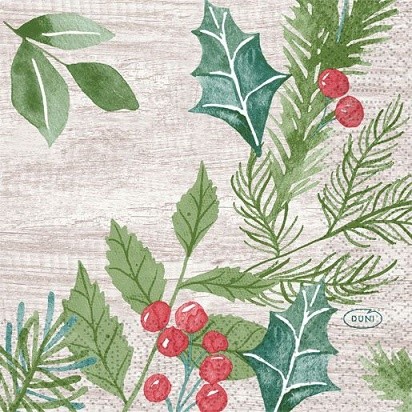 Ubrousek 24x24 3Vr Winter Greenery 50ks