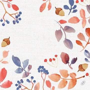 Ubrousek 40x40 Dsoft Autumn Gradient 60ks
