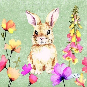 Ubrousek 33x33 3vr Floral Friends 20ks