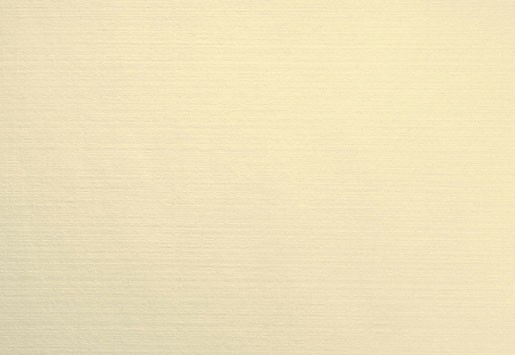 Prostírka 30x40 Velviq 75ks Cream - Restaurace a&nbsp;rauty Ubrusy, šerpy, prostírky Prostírky & podložky dortové