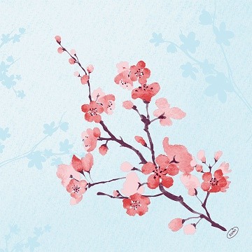 Ubrousek 40x40 Cherry Breeze Blue 60ks