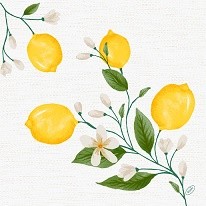 Ubrousek 40x40 Dsoft 60ks Lemon Fiesta