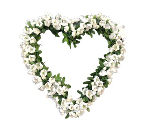 Srdce buxus s bílými květy 11x11cm - Restaurace a rauty Dekorace