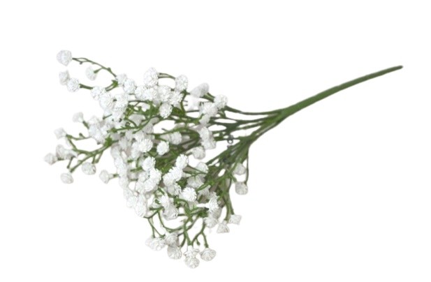 Gypsophila /nevěstin závoj - Dekorace a domácnost Dekorace Valentýn a svatba