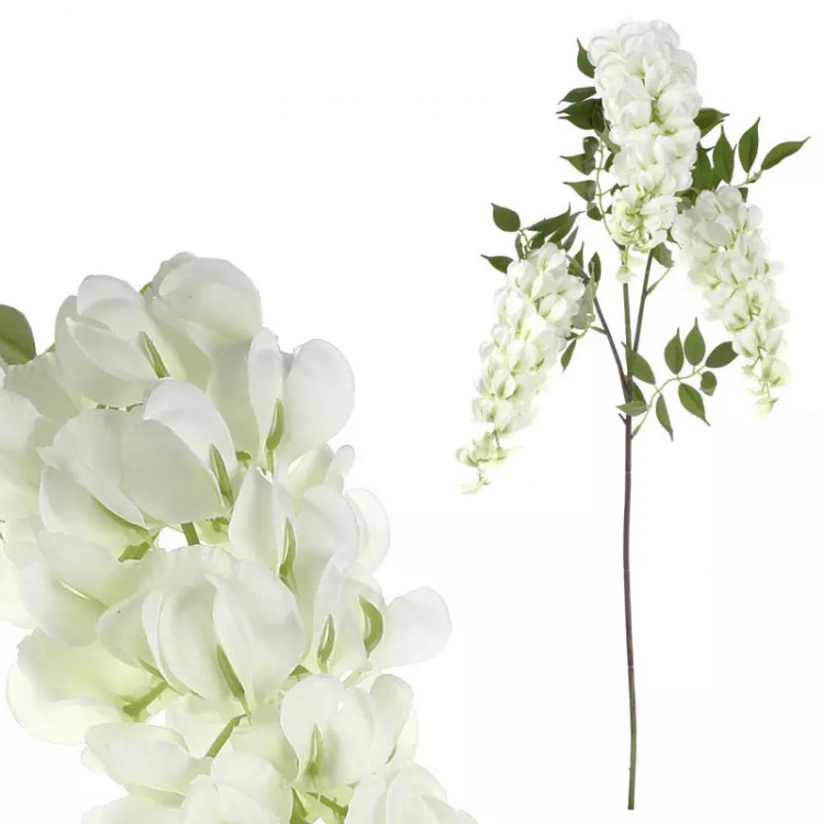 Vistárie White 1m 3 květy