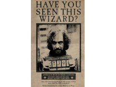 Plakát 61 X 91,5 Cm - Harry Potter 6672195
