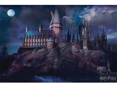 Plakát 61 X 91,5 Cm - Harry Potter 6571890