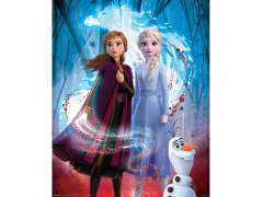 Plakát 40 X 50 Cm - Disney - Frozen II 6571944