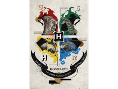 Plakát 61 X 91,5 Cm - Harry Potter 6572087