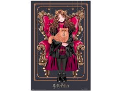 Plakát 61 X 91,5 Cm|harry Potter 5472981