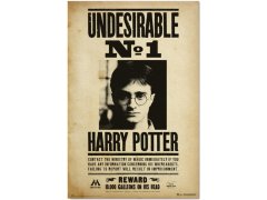 Plakát 61 X 91,5 Cm - Harry Potter 5615187
