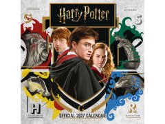 Harry Potter (30,5 X 30,5 - 61 Cm) Sq