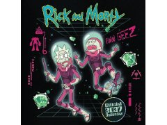 Rick a&nbsp; Morty (30,5 X 30,5 - 61 Cm) Sq