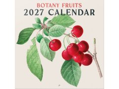 Botany Fruit (30 X 30 - 60 Cm) 12m
