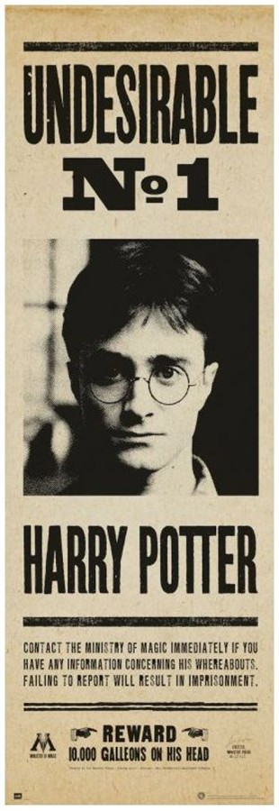 Plakát 53 X 158 Cm - Harry Potter - Harry Potter