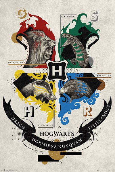 Plakát 61 X 91,5 Cm - Harry Potter - Harry Potter