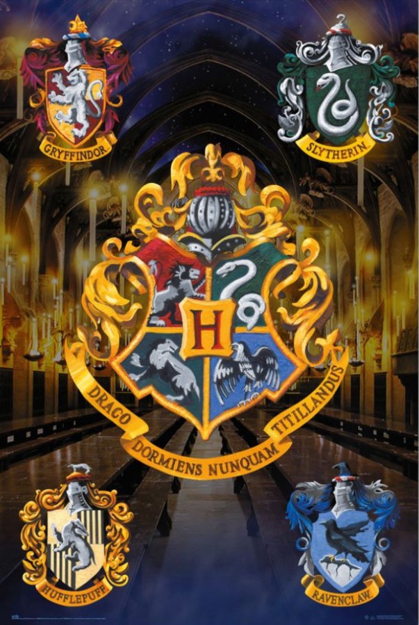 Plakát 61 X 91,5 Cm - Harry Potter