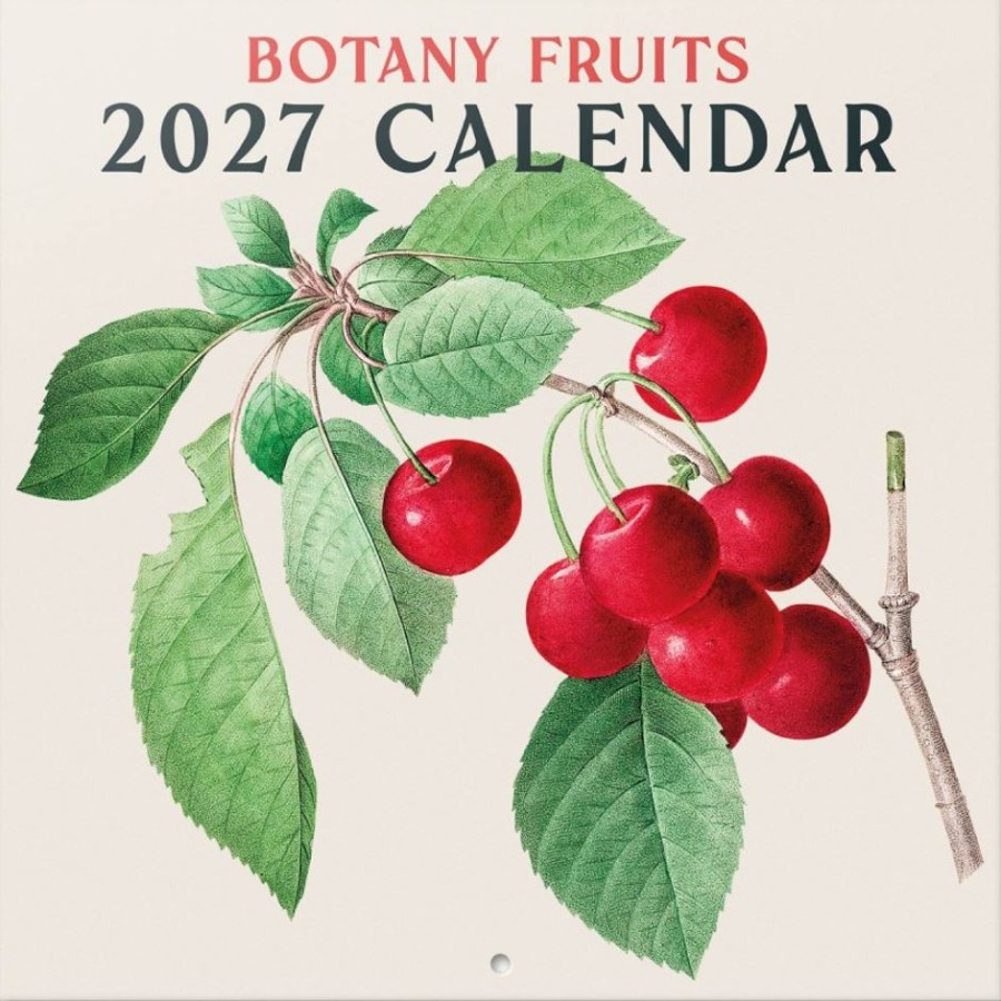 Botany Fruit (30 X 30 - 60 Cm) 12m - Royal Horticultural Society