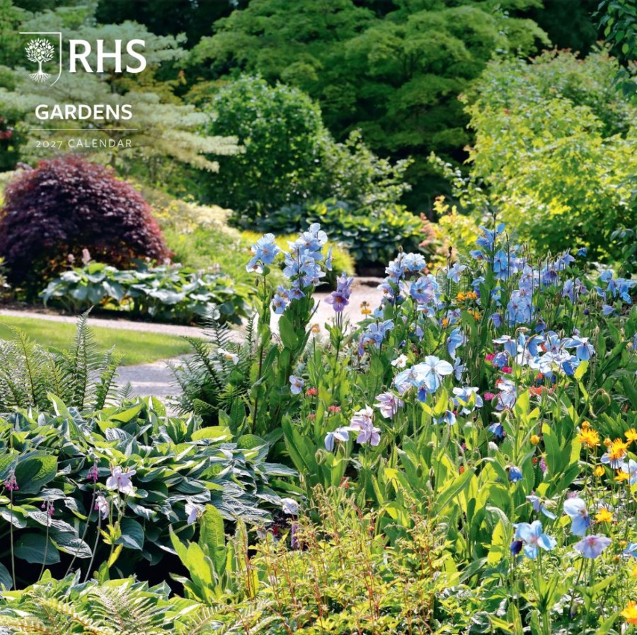 Rhs (30,5 X 30,5 - 61 Cm) Sq