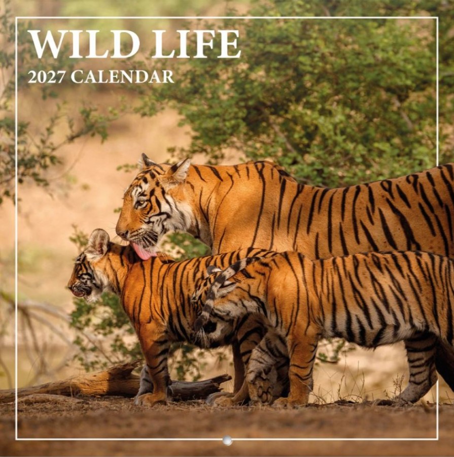 Wild Life (30 X 30 - 60 Cm) Sq 16m - Studio Pets