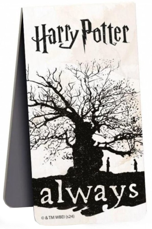 Záložka Knižní - Harry Potter - Harry Potter