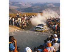 Automobilist Posters | Audi Quattro S1 - Walter Röhrl & Christian Geistdörfer - Shadow - San Remo - 1985 | Limited Edition 10