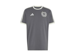 Mercedes AMG Petronas pánské tričko Silver Arrows Icon grey F1 Team 2026 7581247