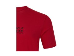 Red Bull Racing unisex volnočasové tričko Graphic Bull s logem červené 3