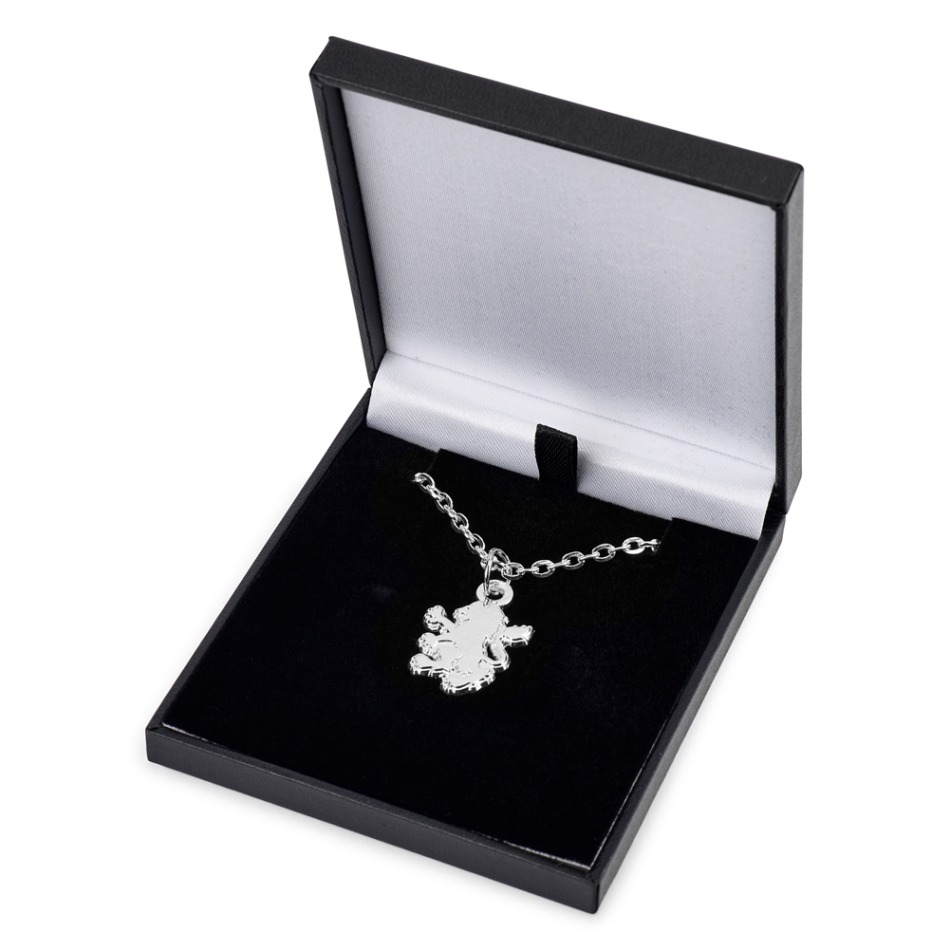 Aston Villa řetízek na krk s&nbsp;přívěškem Silver Plated Boxed Pendant LN - Aston Villa klíčenky, náramky, šperky