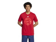 Bayern Mnichov pánské tričko Graphic Tee red