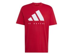 Bayern Mnichov pánské tričko DNA Graphic red