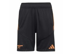 FC Arsenal dětské trenýrky Tiro black
