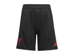 FC Liverpool dětské tréninkové trenýrky black