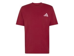 FC Liverpool pánské tričko Seasonal red