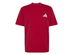 Manchester United pánské tričko Seasonal red