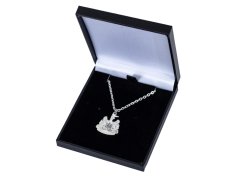 Newcastle United přívěšek na krk Silver Plated Boxed Pendant