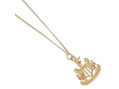 Newcastle United přívěšek na krk 18ct Gold Plated on Silver