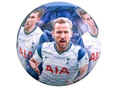 Tottenham Hotspur fotbalový míč players photo football