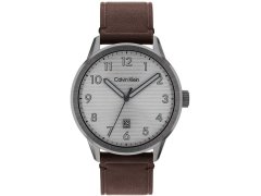 Calvin Klein Minimalistic Pilot 25200519