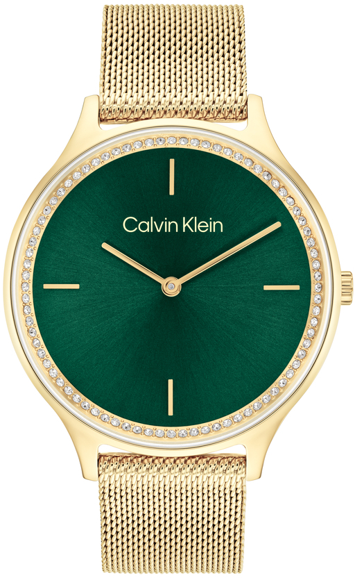 Calvin Klein Timeless 25100005 - Hodinky Calvin Klein