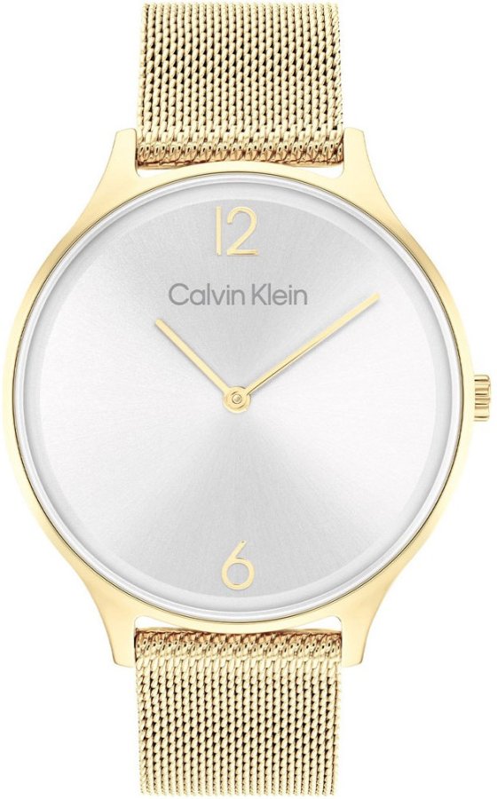 Calvin Klein Timeless 25200003 - Hodinky Calvin Klein