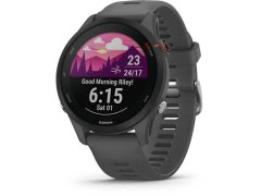 Garmin Forerunner 255 Slate Gray 010-02641-10