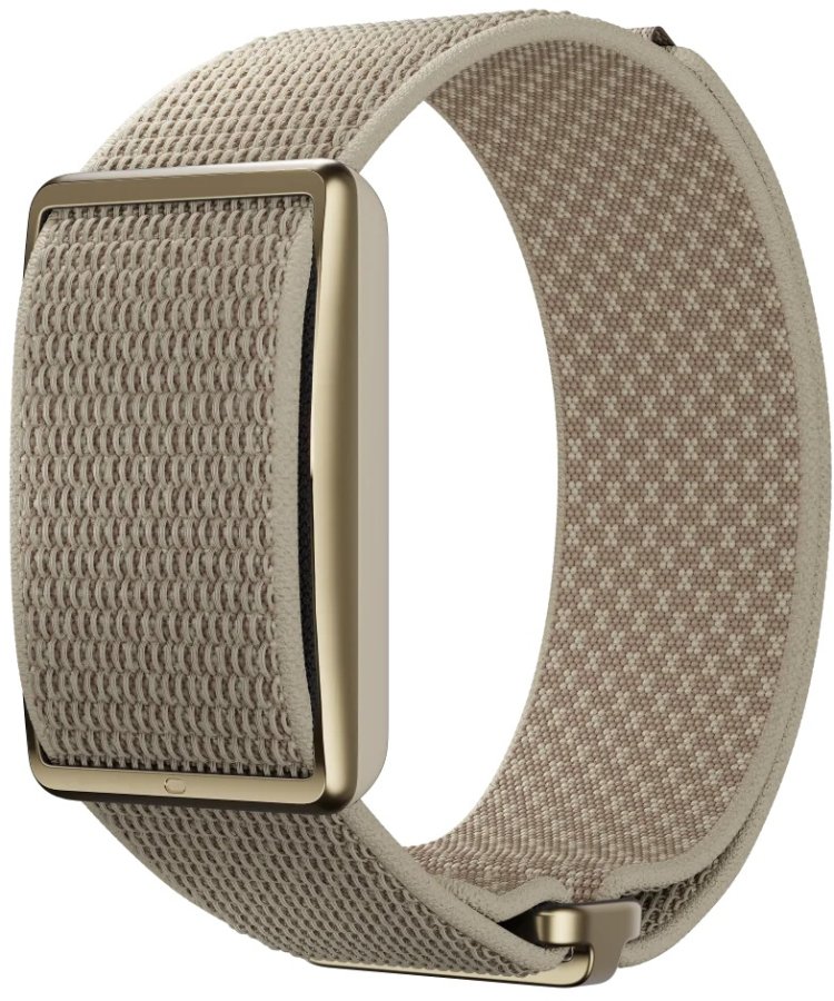 Polar POLAR Loop Gen2 S-L zlatá