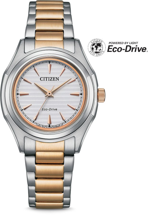 Citizen Eco-Drive Classic FE2116-85A