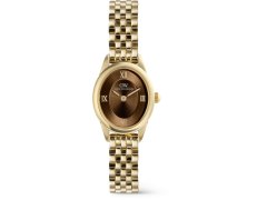Daniel Wellington Ophelia Mini Beans Link Amber G DW00101018