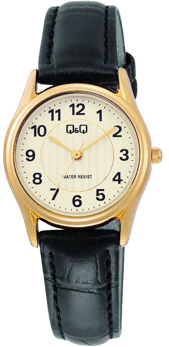 Q&Q Q a Q Analogové hodinky C49A-002PY