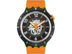 Swatch Fall-iage SB03G107