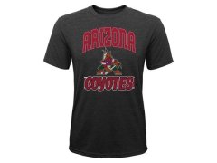 Arizona Coyotes dětské tričko All Time Great Triblend black